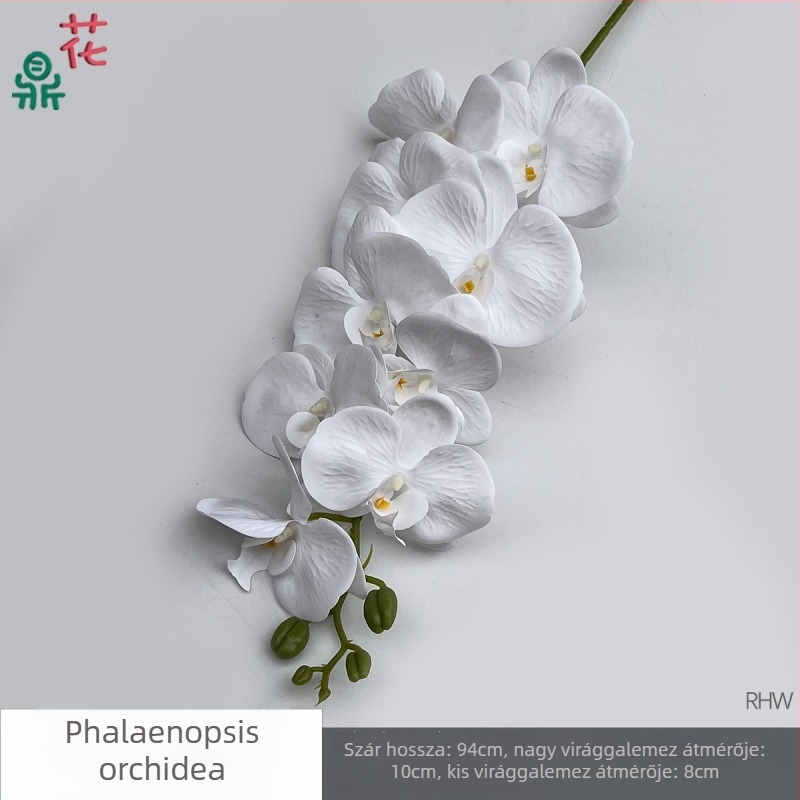 Phalaenopsis selyemorchidea, 9 fej, 3D, esküvői stúdió kellék