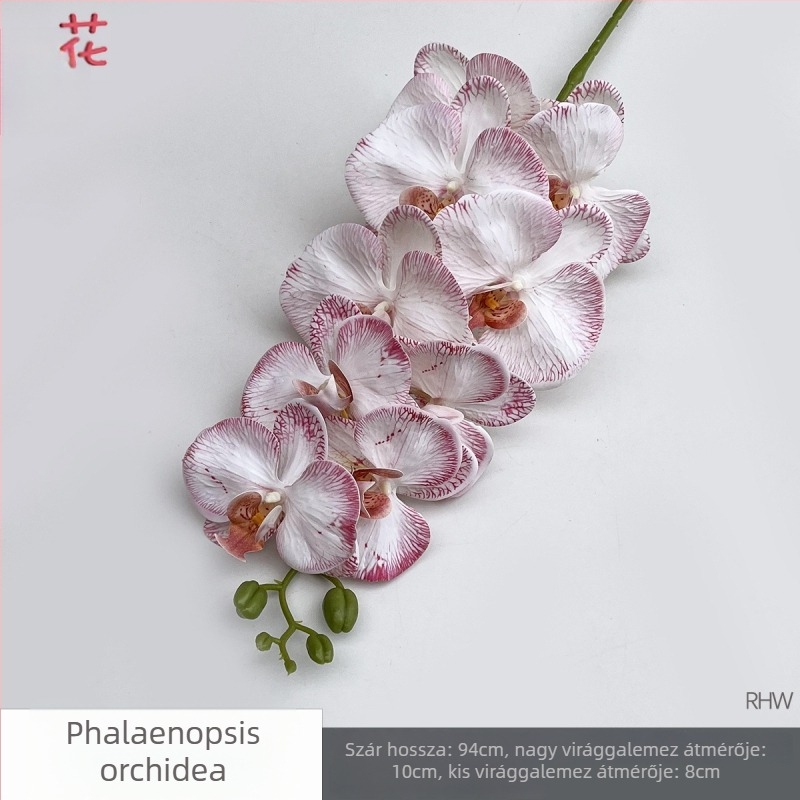 Phalaenopsis selyemorchidea, 9 fej, 3D, esküvői stúdió kellék
