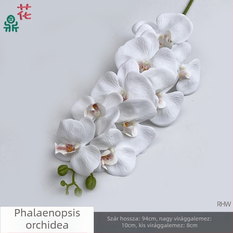 Phalaenopsis selyemorchidea, 9 fej, 3D, esküvői stúdió kellék