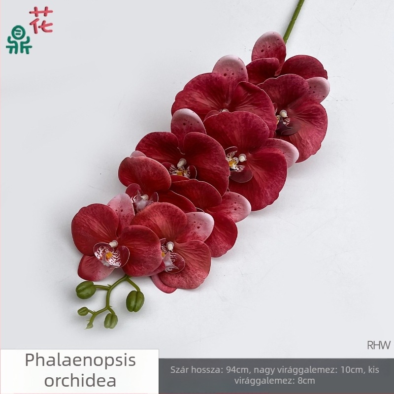 Phalaenopsis selyemorchidea, 9 fej, 3D, esküvői stúdió kellék