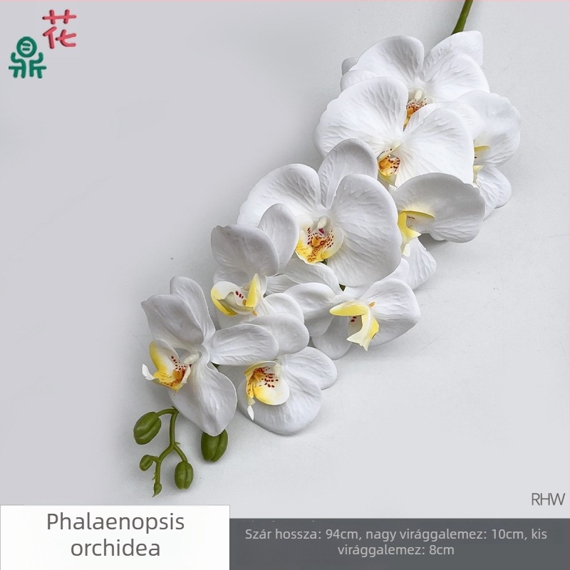 Phalaenopsis selyemorchidea, 9 fej, 3D, esküvői stúdió kellék