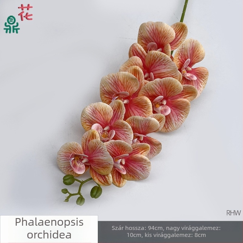 Phalaenopsis selyemorchidea, 9 fej, 3D, esküvői stúdió kellék
