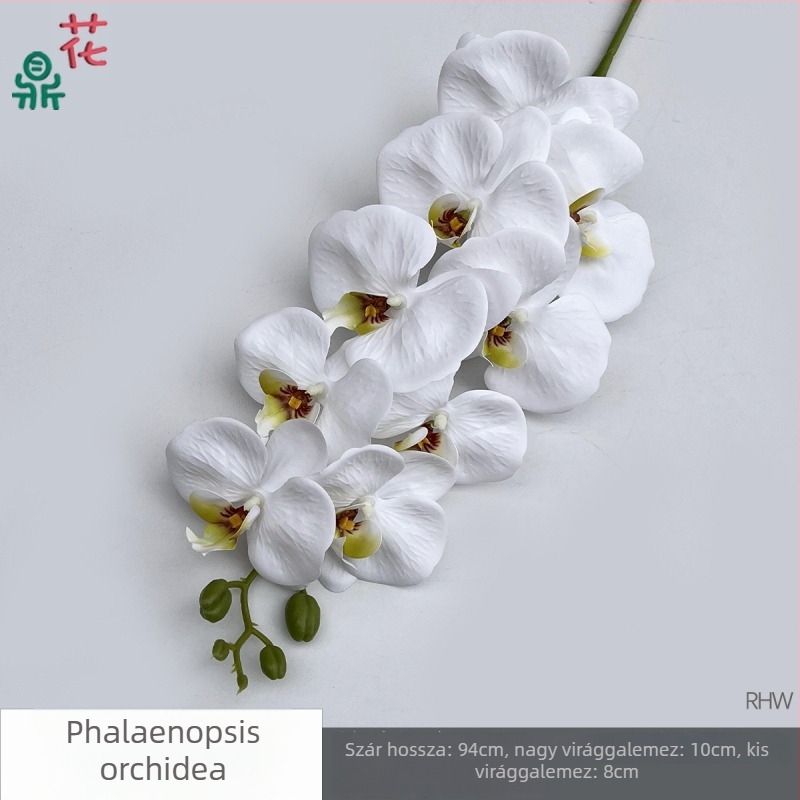 Phalaenopsis selyemorchidea, 9 fej, 3D, esküvői stúdió kellék