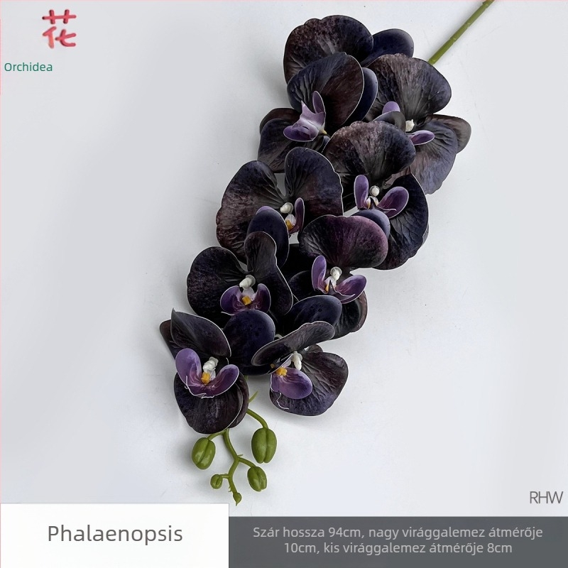 Phalaenopsis selyemorchidea, 9 fej, 3D, esküvői stúdió kellék