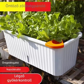 Önöntöző téglalap alakú PP virágcserép, tartós műanyagból, erkélyre, padlón álló
