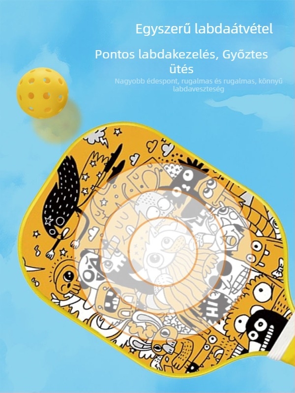 Üvegszálas pickleball ütő – Kaiyi Sports Goods, 220 g, teljes készlet