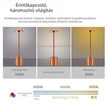 I-alakú fém LED asztali lámpa, letisztult, modern stílus, modell Yczm-011, ≤36V
