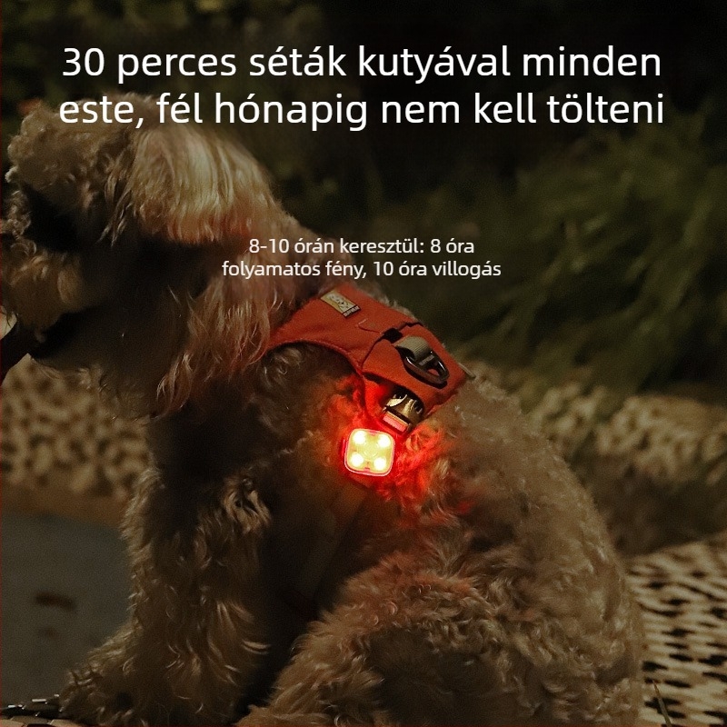 LED kutya világító medál – fényes anti-elvesztés funkció éjszakai sétákhoz, Márka Ulas, műanyag, univerzális, IN stílus, minden szezonra