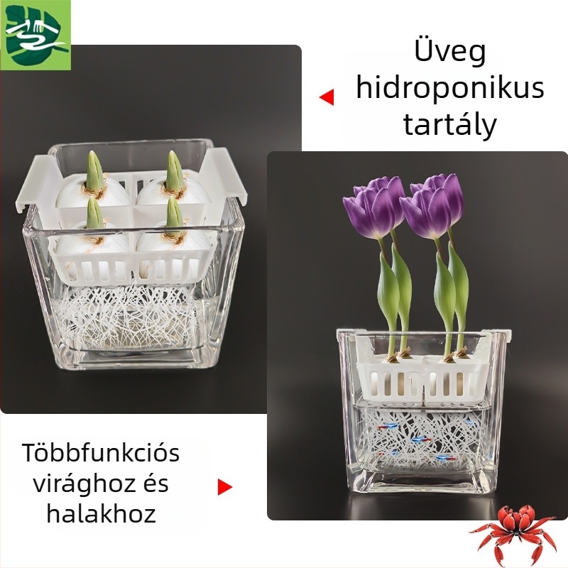 Hidroponikus üvegtartály otthoni kertészkedéshez — asztali vagy állványos használatra