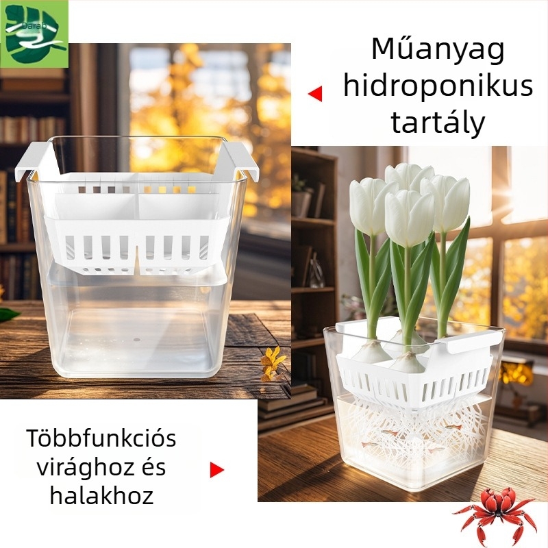 Hidroponikus üvegtartály otthoni kertészkedéshez — asztali vagy állványos használatra