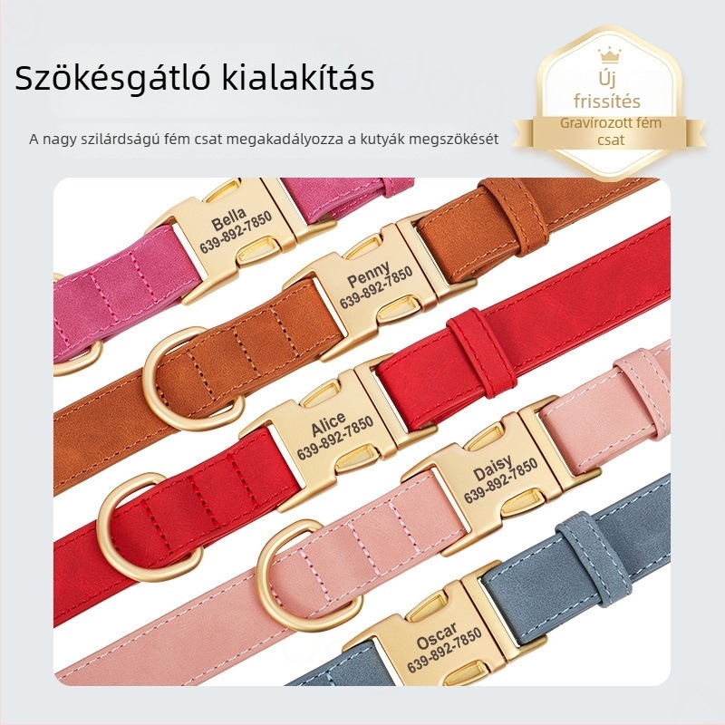 Gravírozott anti-eltűnés kutyanyakörv – kis, közepes és nagy kutyáknak, sétákhoz