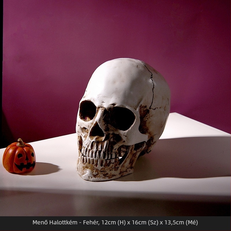 Gyanta koponya fej prop Halloween dekorációhoz – Top rhyme, stílus 31755