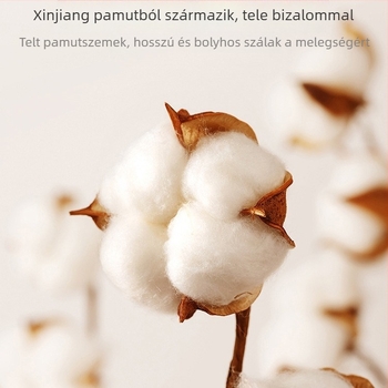 Párnahuzat – Selyem virágos anyag, 2 db, testreszabás nélkül