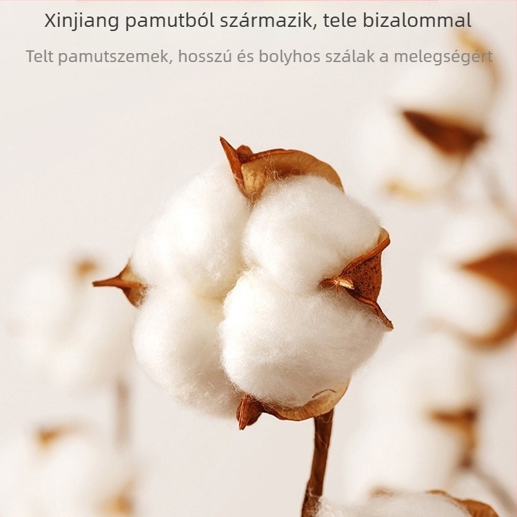 Párnahuzat – Selyem virágos anyag, 2 db, testreszabás nélkül