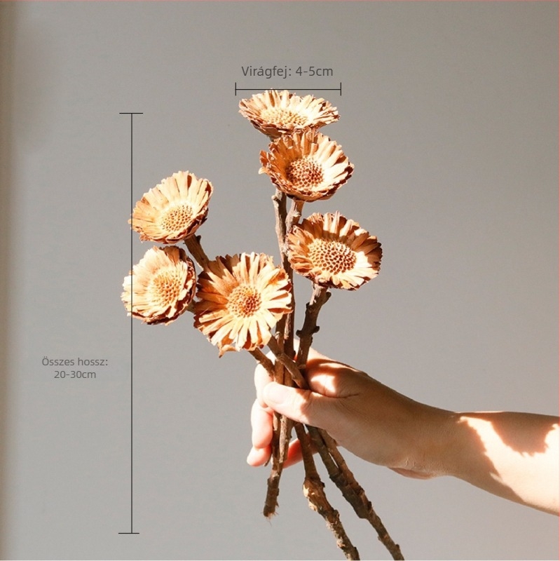 Szárított virágokból álló csokor, Wabi-Sabi stílus, Forget-me-not fajta, színezés nélküli, Opp zacskóban csomagolva