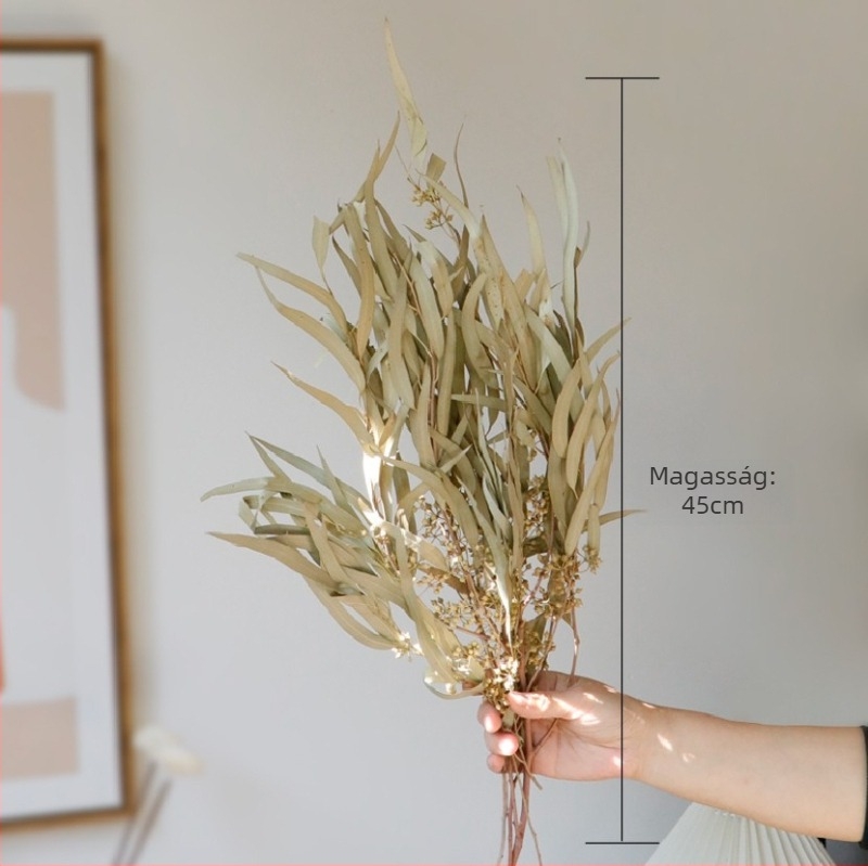 Szárított virágokból álló csokor, Wabi-Sabi stílus, Forget-me-not fajta, színezés nélküli, Opp zacskóban csomagolva