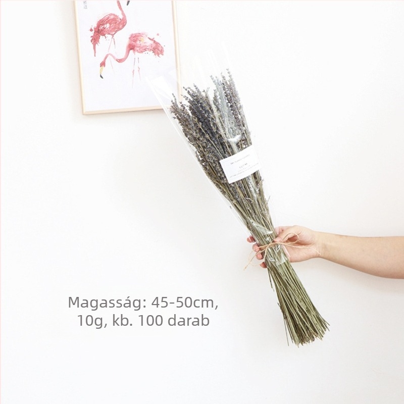 Szárított virágokból álló csokor, Wabi-Sabi stílus, Forget-me-not fajta, színezés nélküli, Opp zacskóban csomagolva