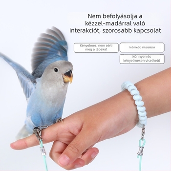 Papagáj számára ultra könnyű edzésre tervezett repülő kötél, láb körüli gyűrűvel, láb lánccal és nyakpánttal a sétához és a repüléshez