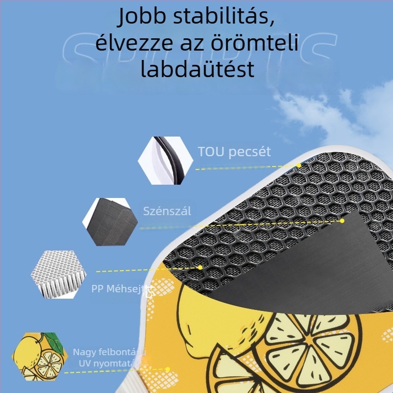 Pickleball ütő egyéni edzéshez — professzionális, mindent egyben, kültéri edzéshez, hordozható és tartós