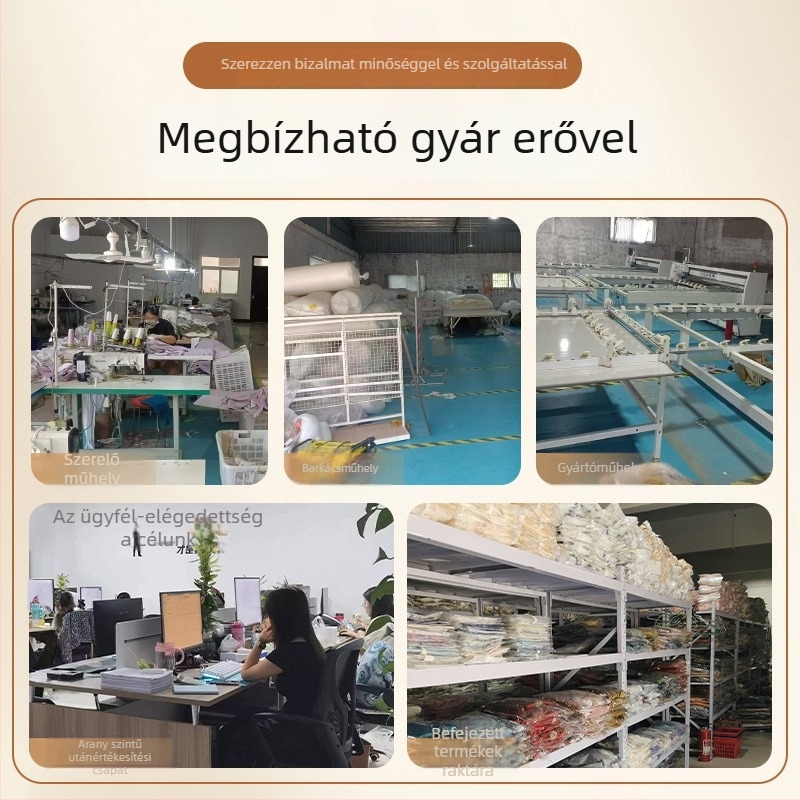 Ajtófüggöny rovarmentesítéssel, poliészter anyagból, csipke-tüll, otthon, hálószoba és bejárat számára — Új kínai stílus (2025 ősz)