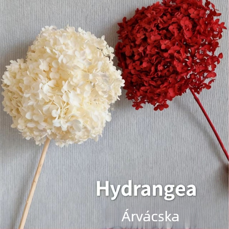 Anna hortenzia — megőrzött virágokból készült, kézzel készített otthoni és rendezvény dekoráció; Márka: Everlasting Anna Hydrangea; Anyag: megőrzött virágok; Fajta: Anna