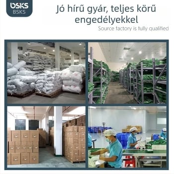 Karcsúsító öv infravörös fizioterápiával és meleg tömörítéssel, AC tápegység, 30–70°C közötti hőmérséklet-szabályozás