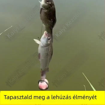 Air Force Star Kezdő Horgász Készlet Finom Hálós Csali Ketrec és Horogkészlet (SKU Pfujvz3nAMP+RAarJgjBw8e9c3s; Kereskedelmi Export: Igen; Fő piac: Délkelet-Ázsia)