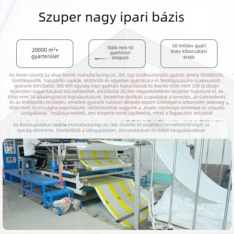 Személyre szabott kéztörlő 3D-s rajzfigurákkal, hímzett és nyomtatott, egyedi szegéllyel, nedvszívó korall-flízzel