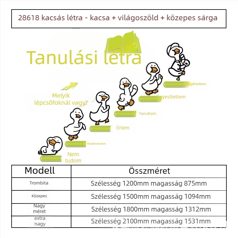 3D akril falmatrica készlet – virágos mintázat, vízálló, nappali dekoráció, 5+ darab, modern minimalist 3D falikép