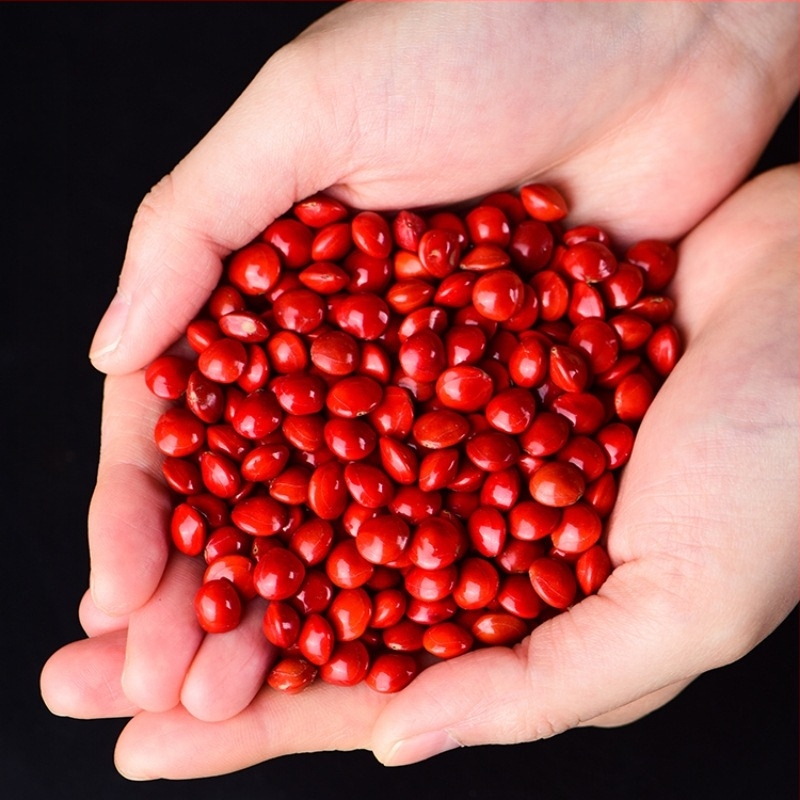 DIY ékszerekhez Bodhi magvak akácból — kézzel készített, lyukas gyöngyök karkötőkhez