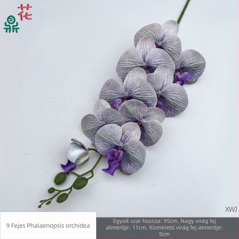 Selyem Phalaenopsis orchidea — 3D stúdió fotózási kellékek, styling és reliefes textúra, otthoni dekoráció