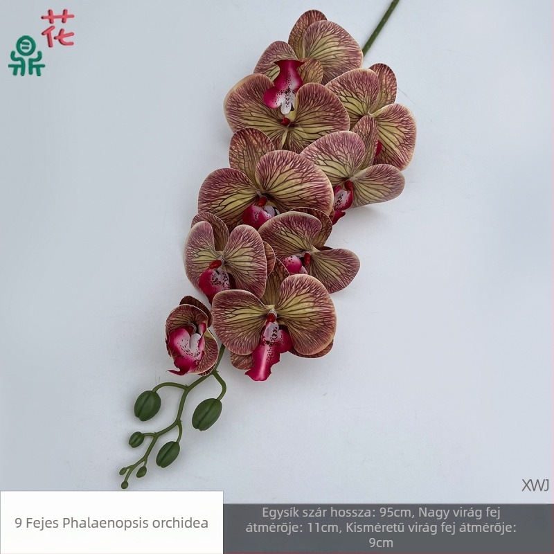Selyem Phalaenopsis orchidea — 3D stúdió fotózási kellékek, styling és reliefes textúra, otthoni dekoráció