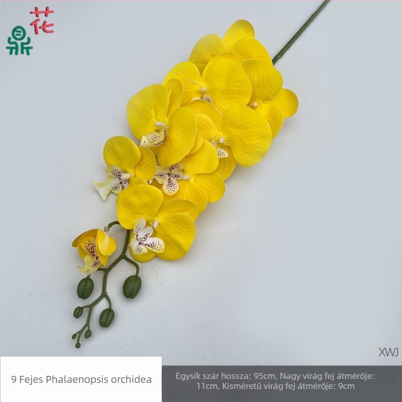Selyem Phalaenopsis orchidea — 3D stúdió fotózási kellékek, styling és reliefes textúra, otthoni dekoráció
