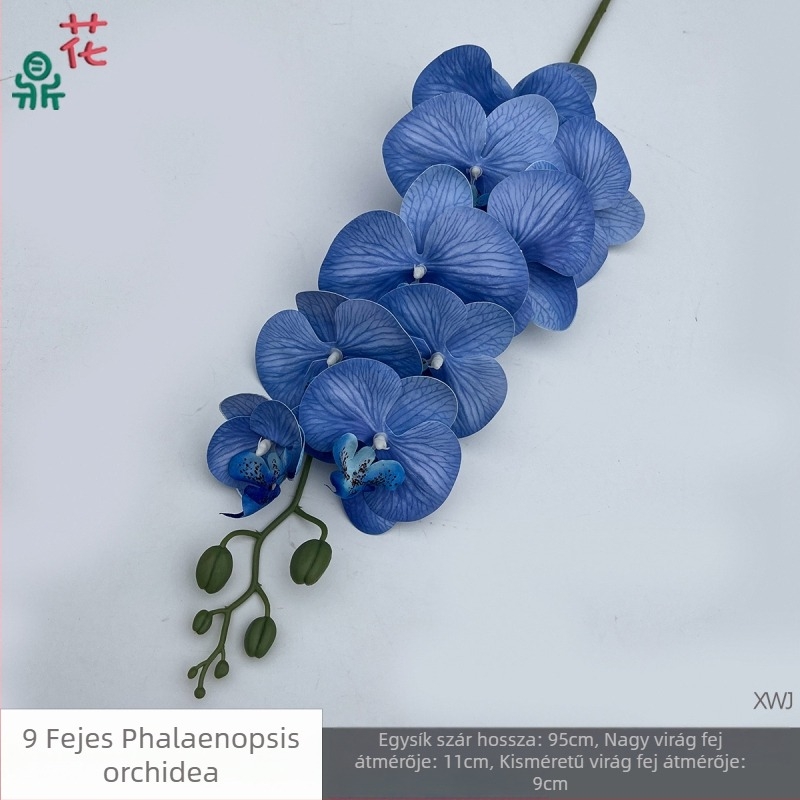 Selyem Phalaenopsis orchidea — 3D stúdió fotózási kellékek, styling és reliefes textúra, otthoni dekoráció