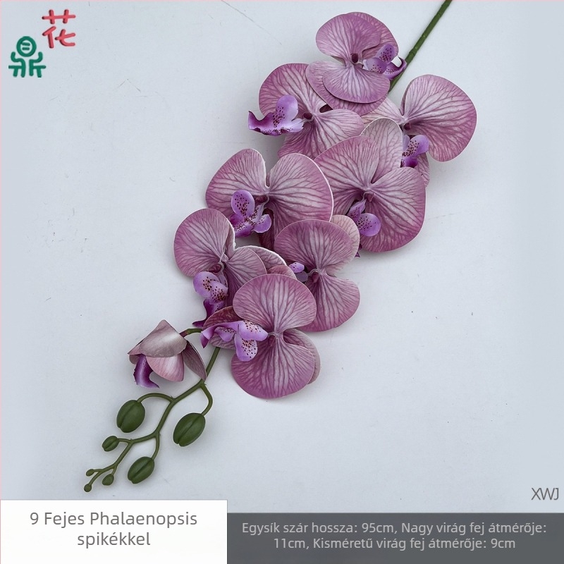 Selyem Phalaenopsis orchidea — 3D stúdió fotózási kellékek, styling és reliefes textúra, otthoni dekoráció