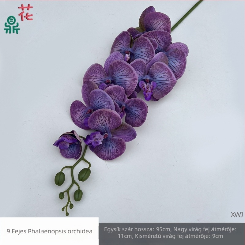 Selyem Phalaenopsis orchidea — 3D stúdió fotózási kellékek, styling és reliefes textúra, otthoni dekoráció