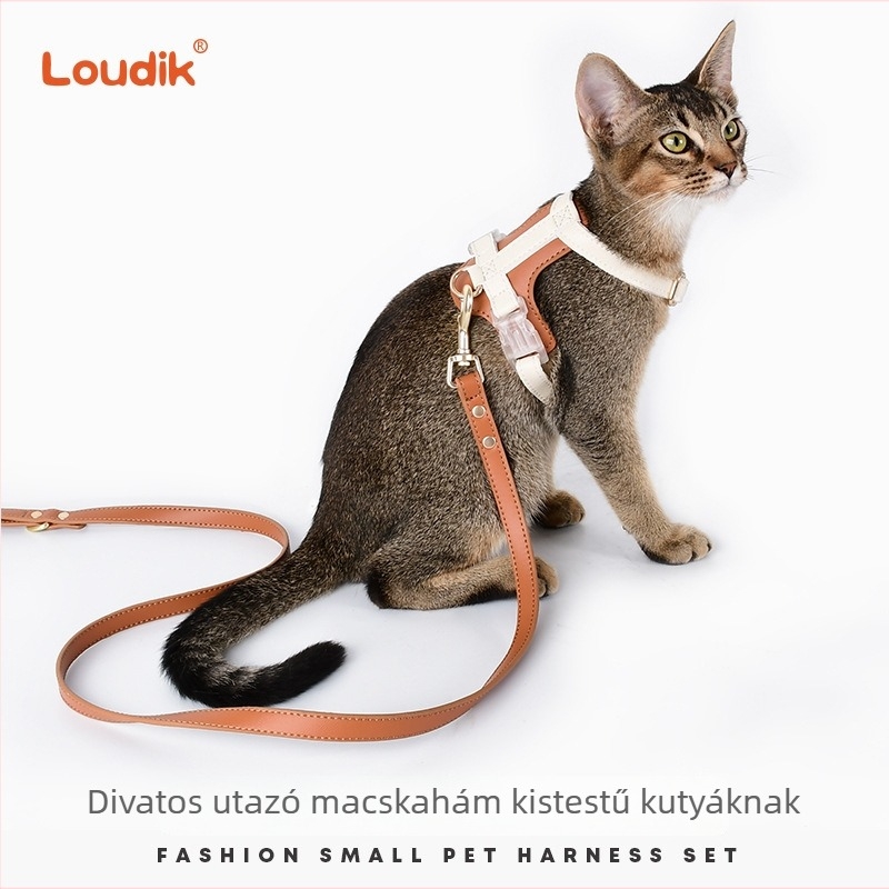 Színben egymáshoz illő kutya- és macskahám, pórázzal és nyakörvvel