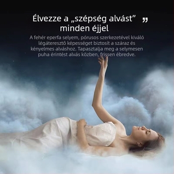 Egyszínű, kétoldalas szépségpárnahuzat mulberry selyemből – Ice Silk