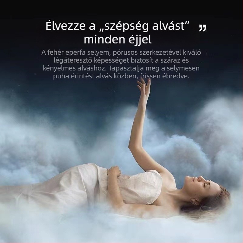 Egyszínű, kétoldalas szépségpárnahuzat mulberry selyemből – Ice Silk