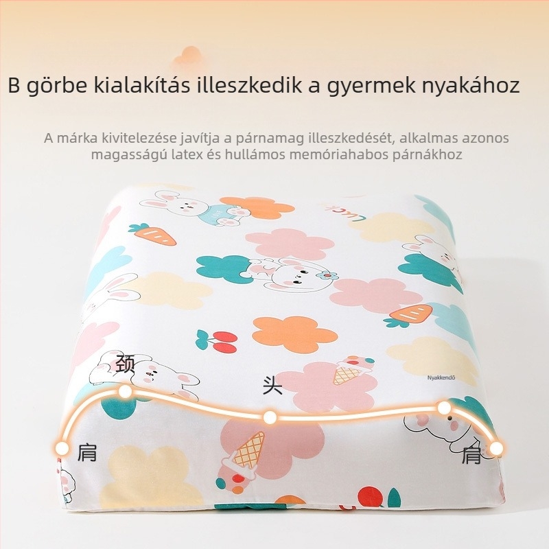 Gyerekeknek való párnahuzat 100% pamutból, puha felülettel, mesefigurás mintával