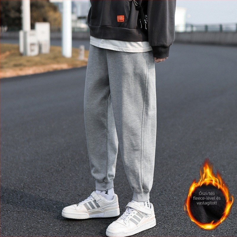 Férfiak polár belsővel ellátott casual nadrág, koreai stílusú harém, lazán szabott, egyenes szabás, téli szezonra (polyester, fleece, mid-waist, tether closure)