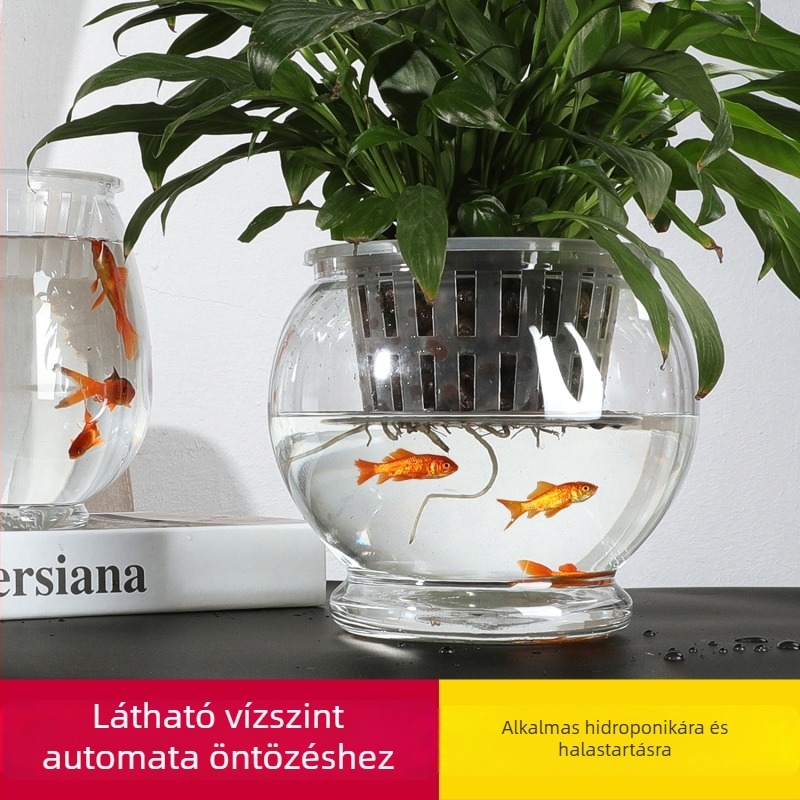 Önöntöző virágcserép – átlátszó, kerek műanyag, belső hidroponikához; egyszerű stílus; asztalra vagy padlóra