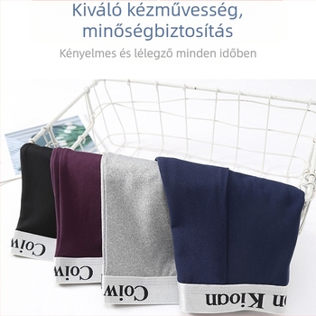 Férfi boxeralsók, légáteresztők, gyorsan száradó Milk Silk poliészter anyagból, kötött szövés, középmagas derék, egyszínű, alkalmas négy évszakra