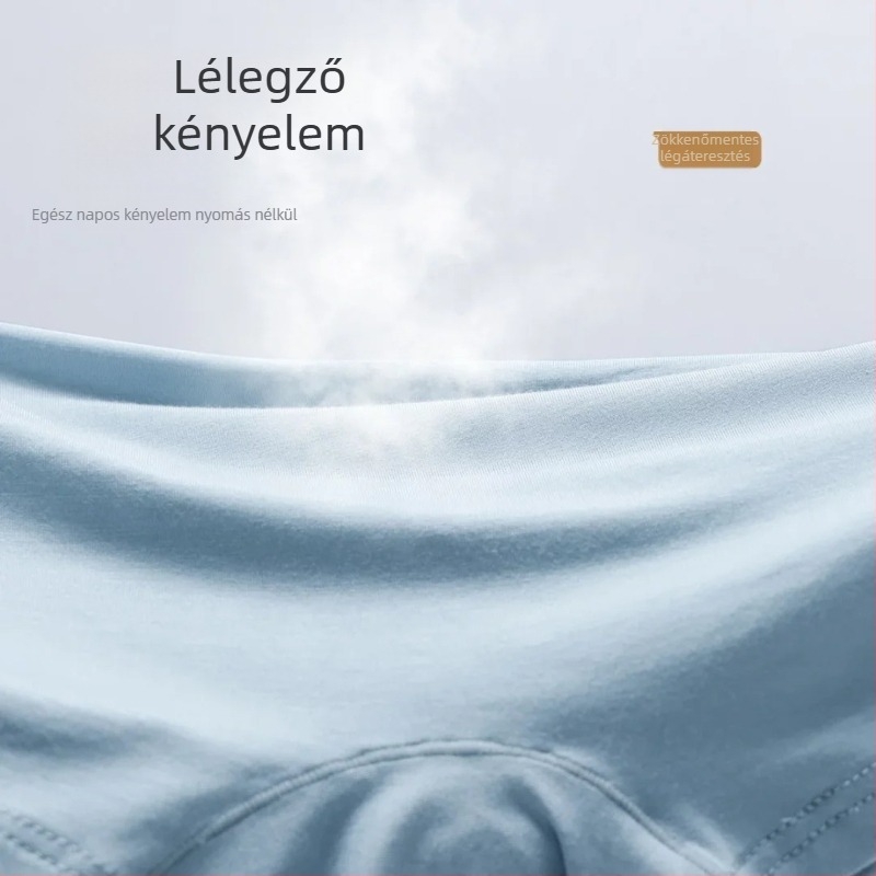 Modal anyagú, lélegző férfi alsónemű, színblokkolt dizájn, boxer briefs