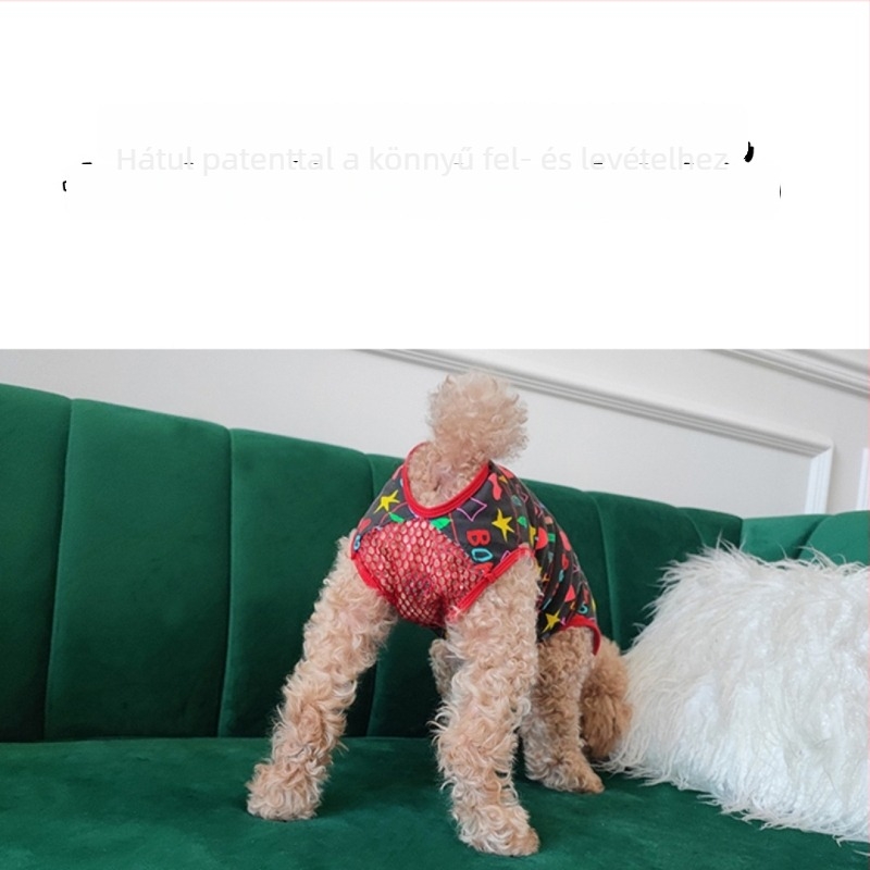 Pamut egyrészes kutya alsónemű nőstény Bichon/Teddy