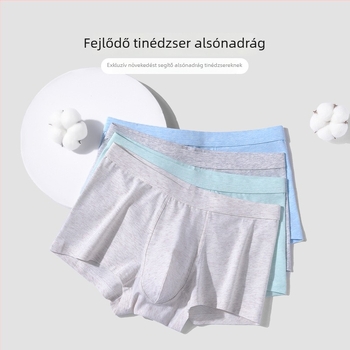Fiataloknak szóló pamut boxeralsó férfiaknak antibakteriális, Mulberry selyem béléssel
