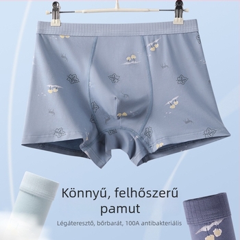 Férfi pamut boxeralsó, antibakteriális, plusz méret, rajzfilm mintával
