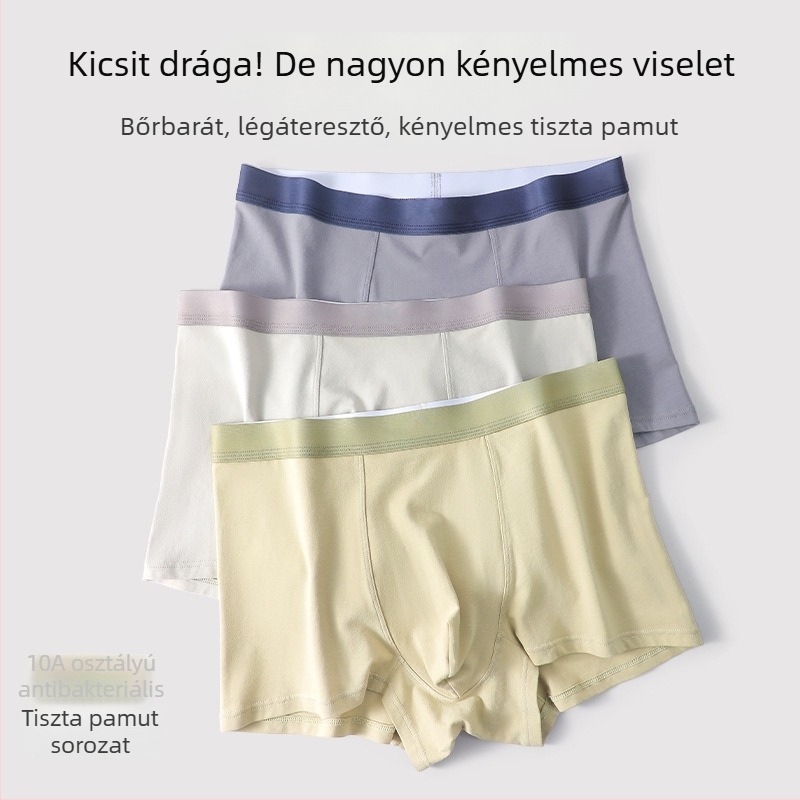 Pamut férfi középmagas derekú boxeralsó, antibakteriális, lélegző és izzadságot felszívó