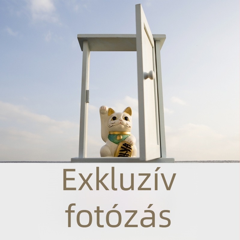 Női pamut alsónemű medve mintával, lélegző anyag, alacsony derekú szabás, pamut betét a szeméremrésznél