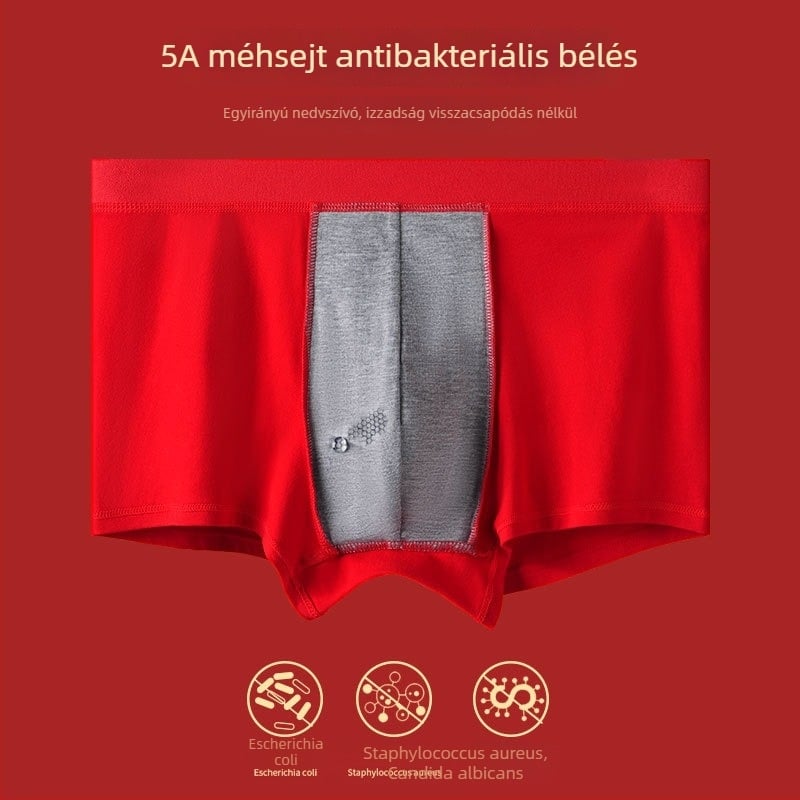Férfi piros pamut alsónemű a Ló évére, új stílus a prosperitásért, békéért, esküvőért és ünnepekért, antibakteriális